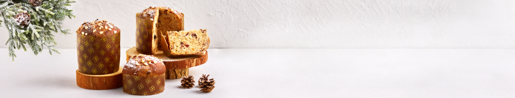 11월 레시피 파네토네